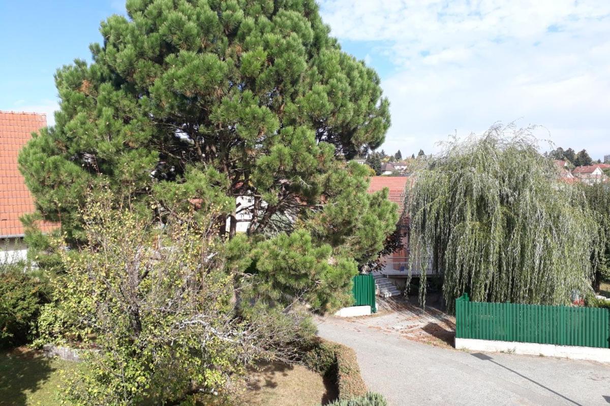 Appartement Independant A Proximite De Belfort Essert Экстерьер фото